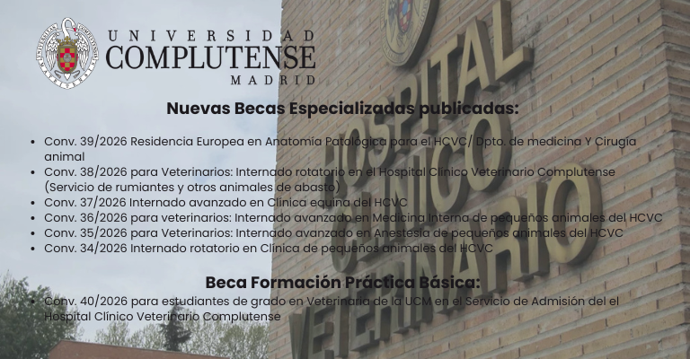 Nuevas Becas Especializadas